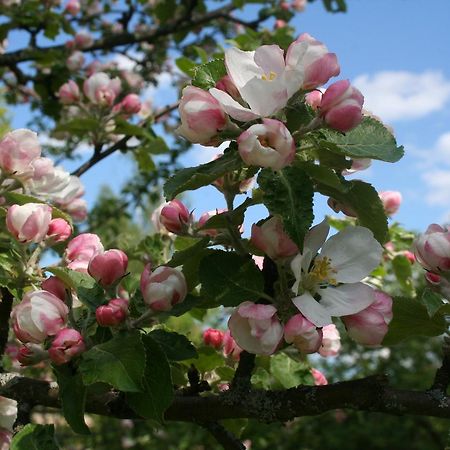 Gaestrum Gnottnehult Osterbymo Dış mekan fotoğraf