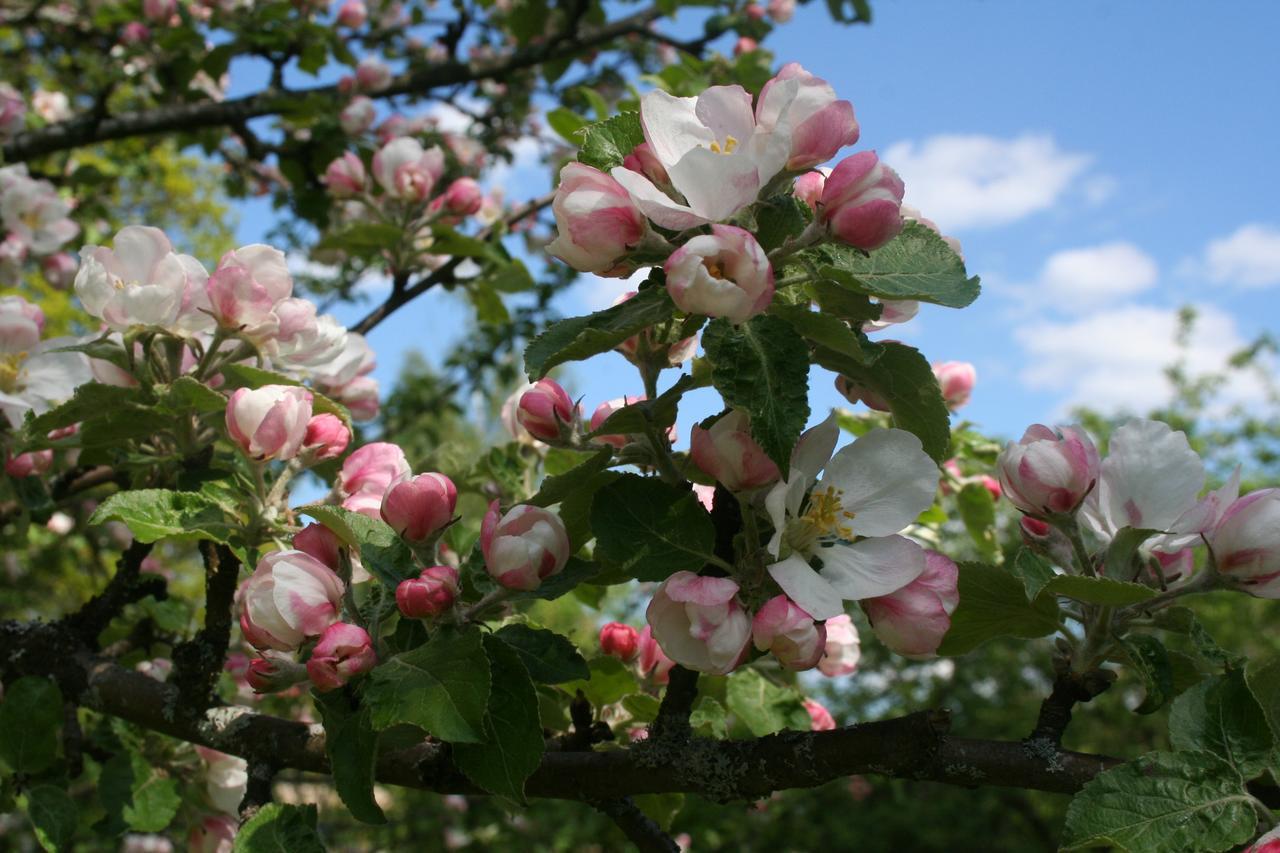 Gaestrum Gnottnehult Osterbymo Dış mekan fotoğraf