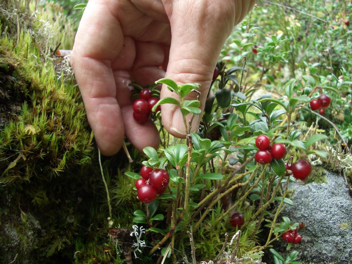 Gaestrum Gnottnehult Osterbymo Dış mekan fotoğraf
